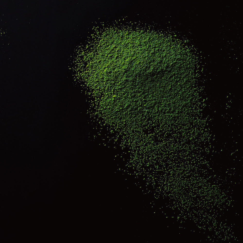 Uji Matcha Tenryoku by Haruhide Morita (exceptional)