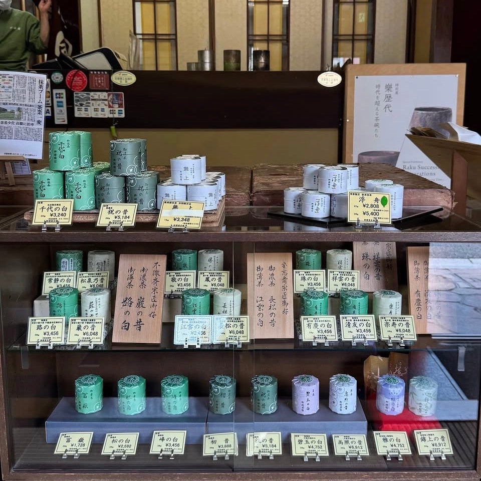 Ryuoen Chaho - Shoun no Mukashi Matcha (rare matcha)